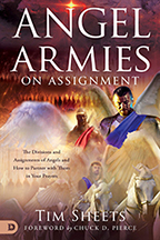 Your Angels on Assignment & Chariots of Fire (Book & 3-CD/Audio Series) by Tim Sheets; Code: 9722
