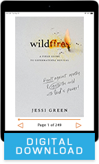 Wildfires & Fire Starter Kit (Digital Download) by Jessi Green; Code: 9757D