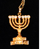 Chalutzim Menorah Pendant